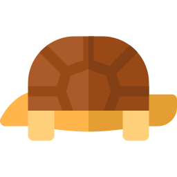 Turtle icon