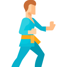 vovinam viet vo dao icon