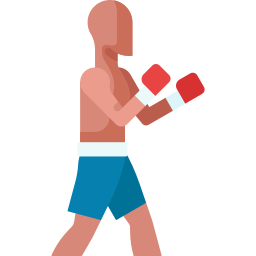 Boxing icon