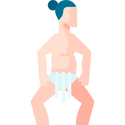 sumo icono