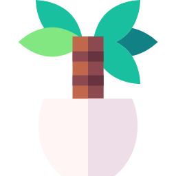 yucca icona