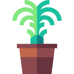 dracaena icon