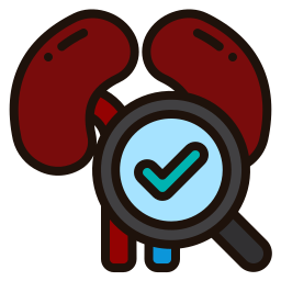 Kidney icon