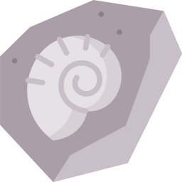 fossile icona