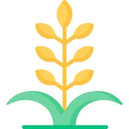 Wheat plant icon