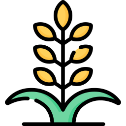 Wheat plant icon