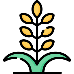 planta de trigo icono