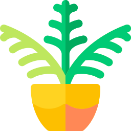 Салон пальмы иконка