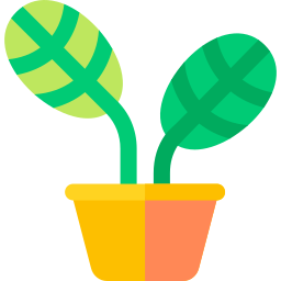 Maranta icon