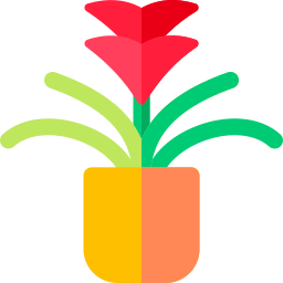 구즈매니아 icon
