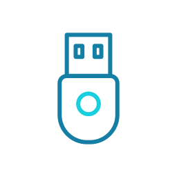 Flash disk icon