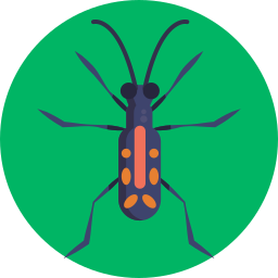Tiger beetle icon