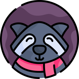 Raccoon icon