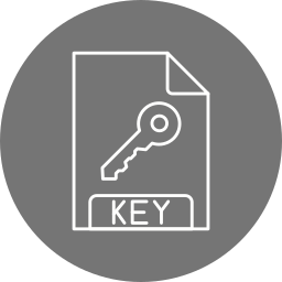 Key icon