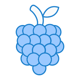 Raspberry icon