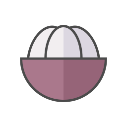 mangosteen icoon