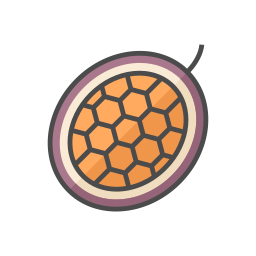 Passion fruit icon