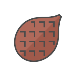 Salak icon