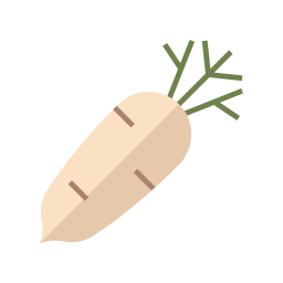 daikon icono