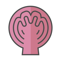 Red cabbage icon