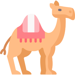 Dromedary icon