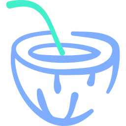 Coconut drink icon