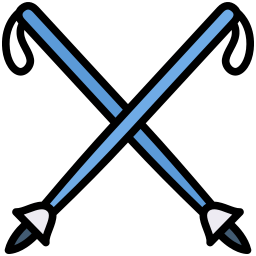 Ski poles icon