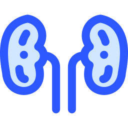 Kidneys icon