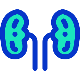 Kidneys icon