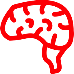 Brain icon