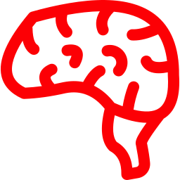 脳 icon