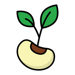 Seed icon