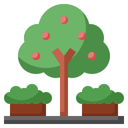 Fruit tree icon