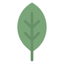 Leaf icon