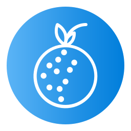 Lychee icon