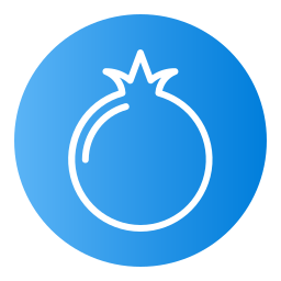 Pomegranate icon