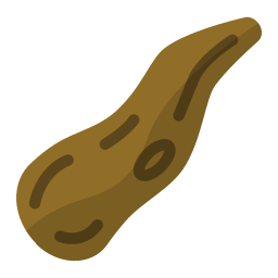 Cassava icon