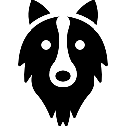 Border Collie head icon