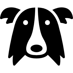 cabeza de perro border collie icono