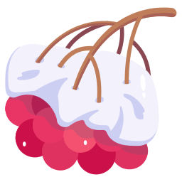 beeren icon