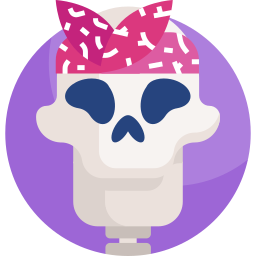 Skull icon