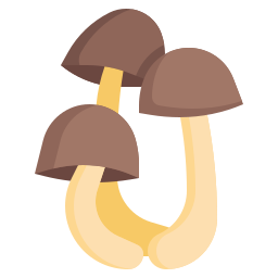 champignon Icône