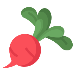 Radish icon