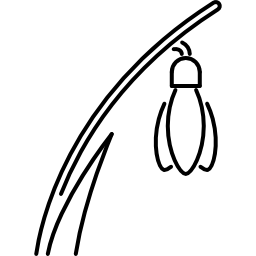 스노우 드롭 icon