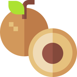 longan icon