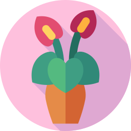 Anthurium icon