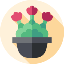 kalanchoe icon