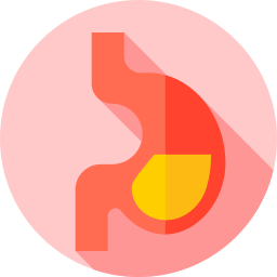 Stomach icon