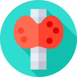 thymusdrüse icon