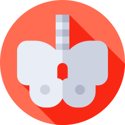 Pelvis icon